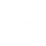 Branding & Marketing